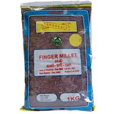 Shankar Finger Millet