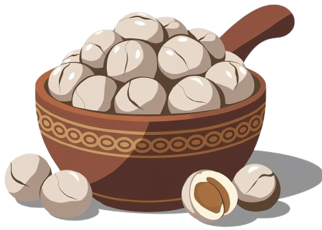 Makhana / Fox Nuts